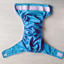 Waterproof Incontinence Underwear